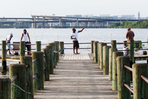 Group fishes from dock