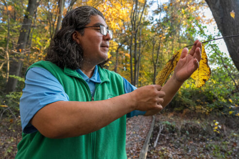 Abel Olivo, standing in the woods, examines the slim branch of a tree.