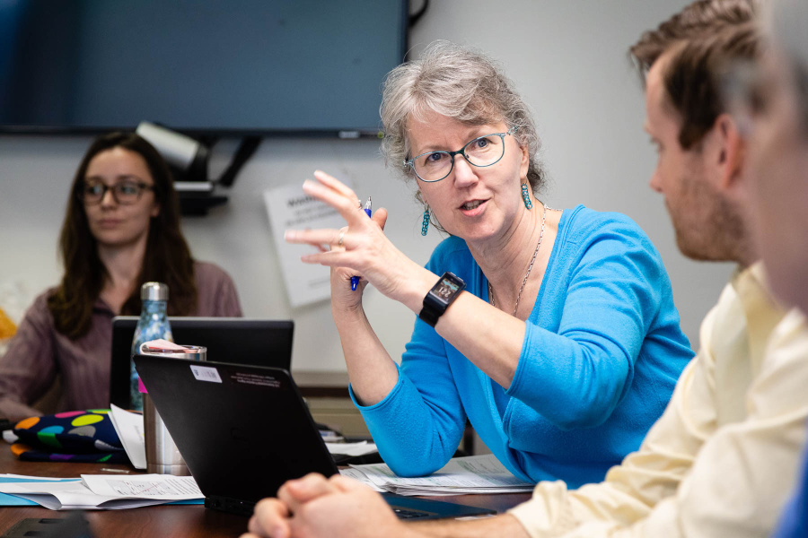 Doreen, dressed in a blue shirt with light grey hair, leads a presentation in an office room.