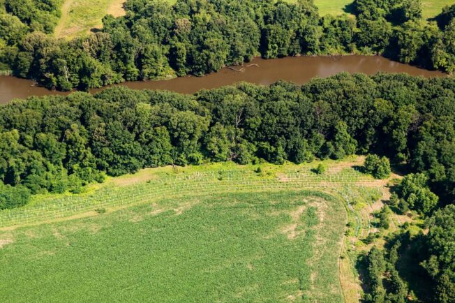 Photo of trees lining a river.