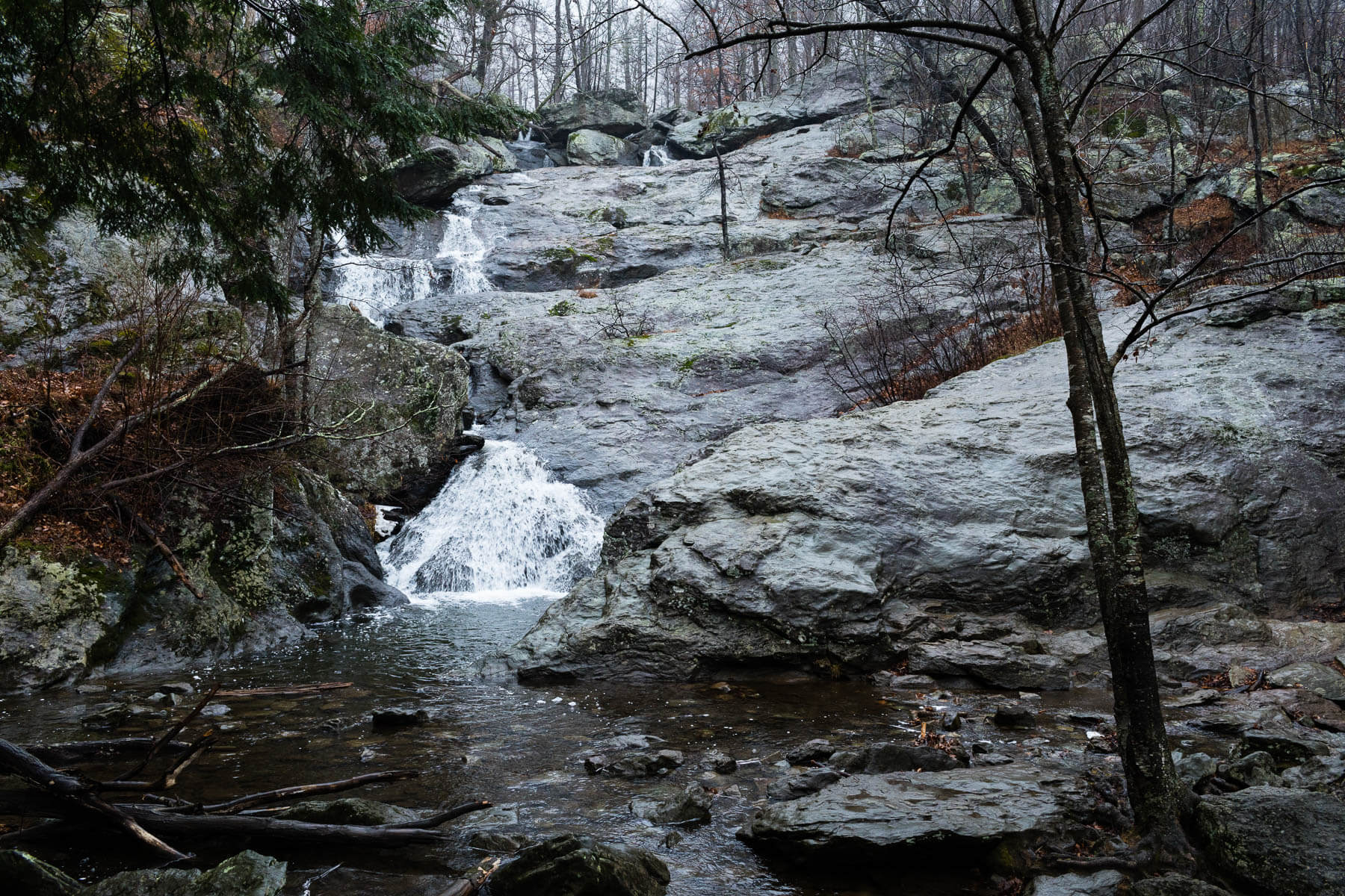 Six Great Spots To Explore The Outdoors This Winter Chesapeake Bay Program