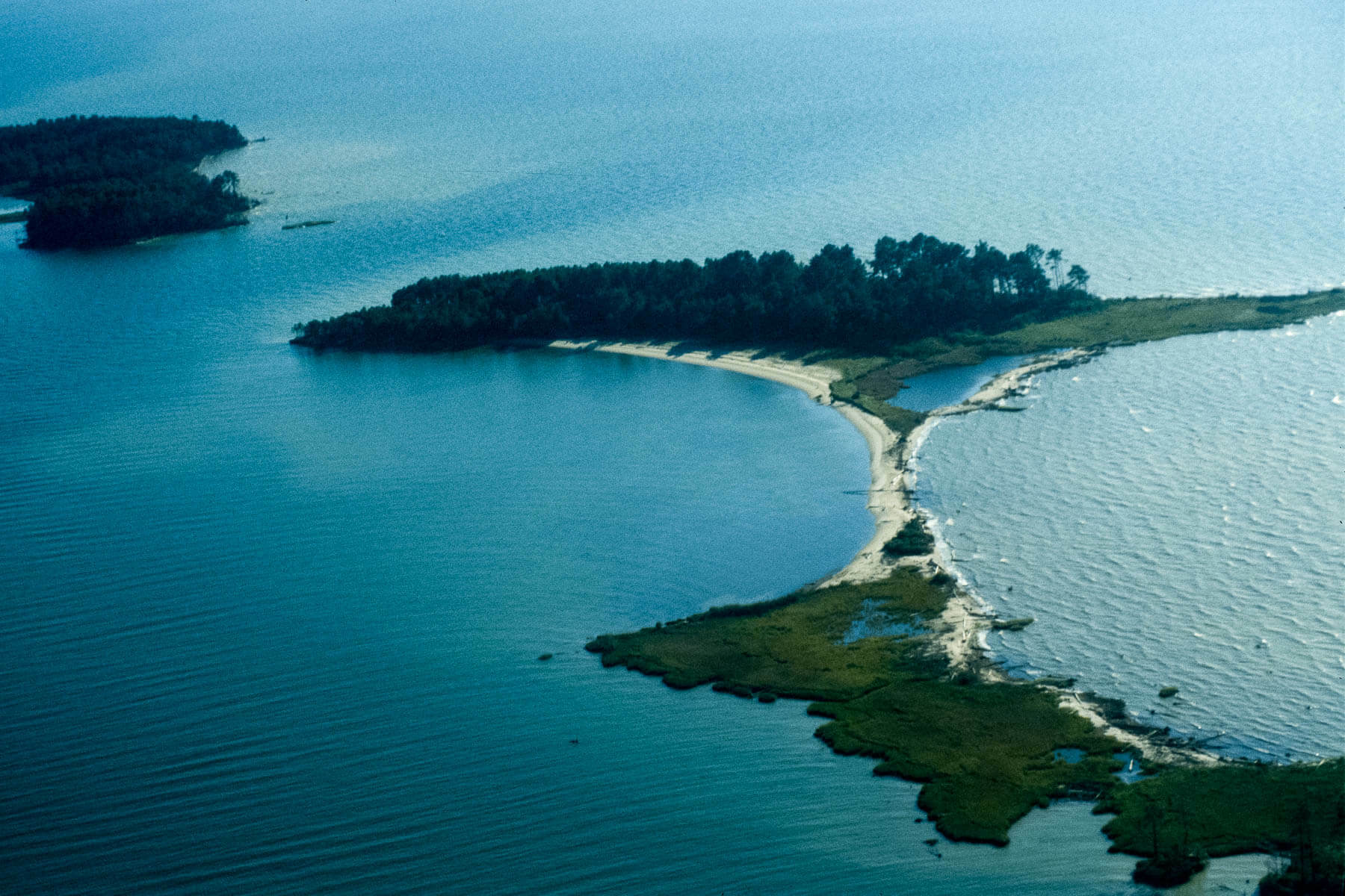 A scientist’s decades-long portrait of a vanishing Chesapeake island