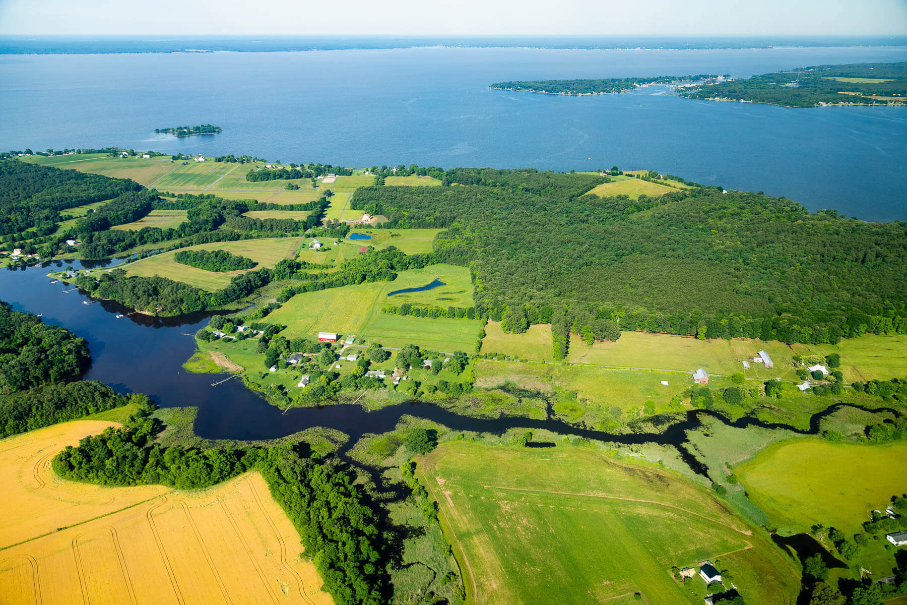 chesapeake-bay-water-quality-inches-toward-a-new-record-chesapeake