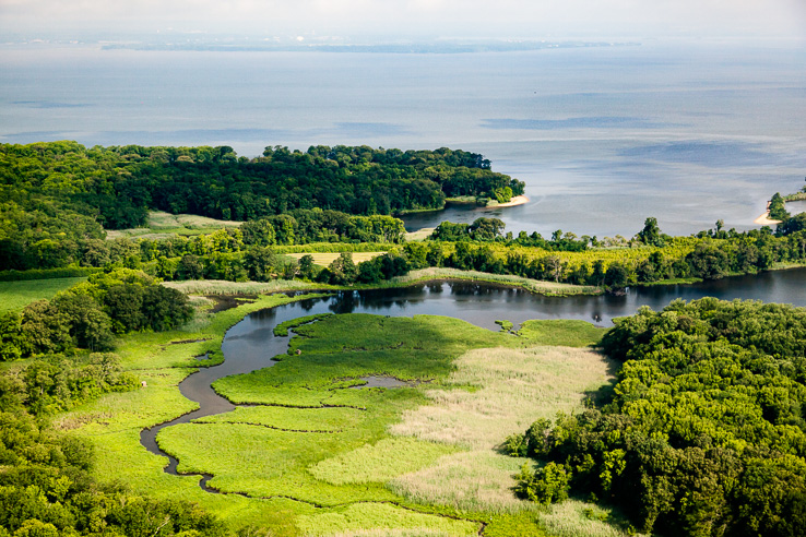 Ecosystem  Chesapeake Bay Program